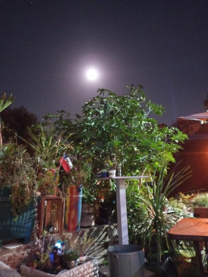 Selva Hospedaje Valparaíso Esterno foto